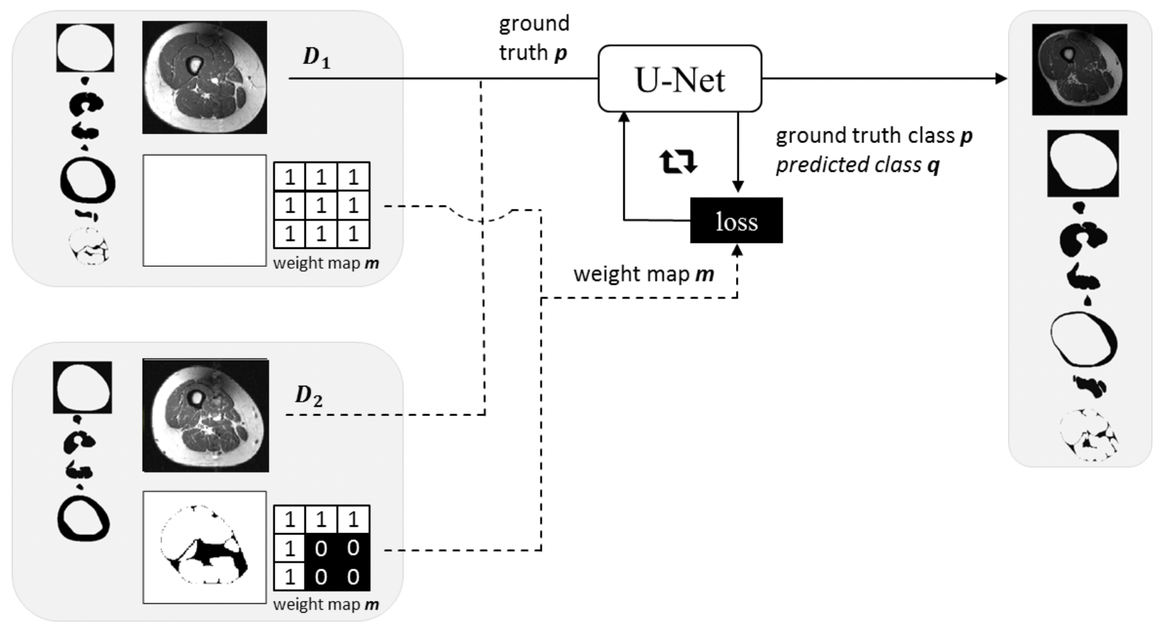 Combining Heterogeneously Labeled Datasets For Training Segmentation Networks
